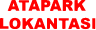 Alternate Text
